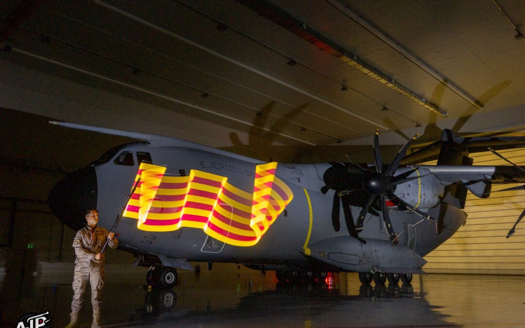 Mi primer año como aerotrastornado